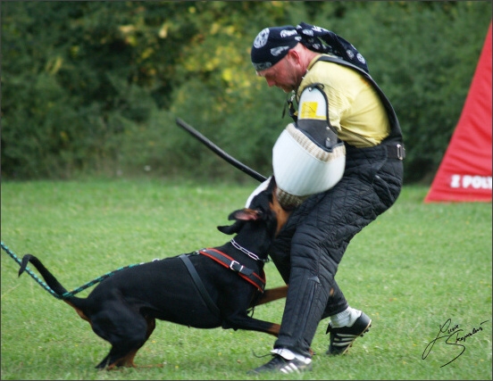 Summer training camp - Jelenec - 2007